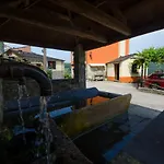 A Casua