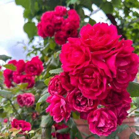 Dom wakacyjny A Casua Boal